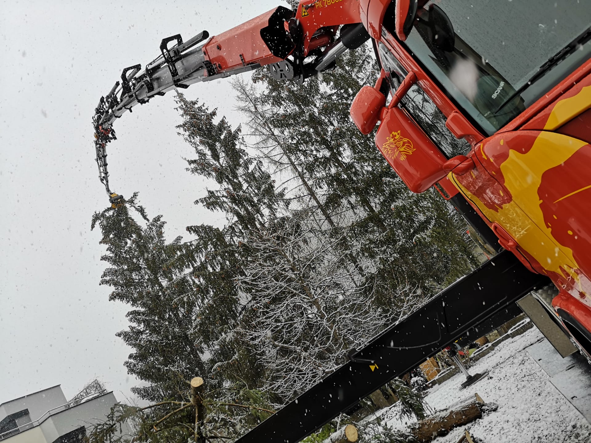 Baum fällen mit der Greifersäge von Urs Jakob AG